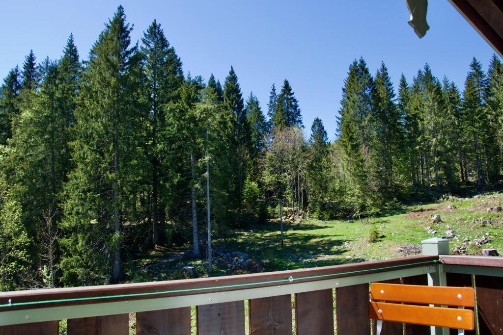Gemütlicher Balkonblick in Schliersee-Spitzingsee Ferienwohnung, umgeben von üppigen Wäldern und Natur.