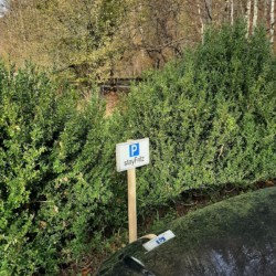 Parkplatzschild "stayFritz" neben grünen Hecken, natürliche Umgebung, ideal für Urlaub in Geitau.