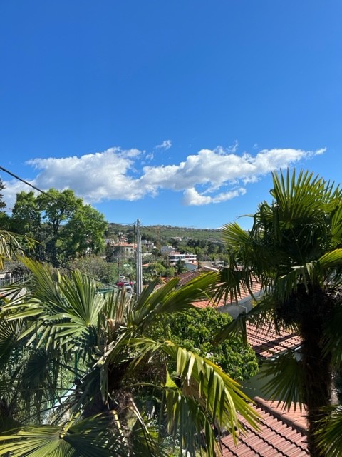 Idyllische Aussicht aus dem Luxury Apartment Calypso in Opatija mit Palmen und blauem Himmel. Ideal für Ihren Kroatien-Urlaub.