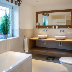 Modernes Badezimmer in Ferienwohnung in Schliersee mit Doppelwaschbecken und Pflanzen.