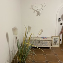 Elegantes Apartment in Bad Wiessee, stilvolles Interieur mit dekorativer Wand und Pflanze. Ideal für Erholung und Urlaub.