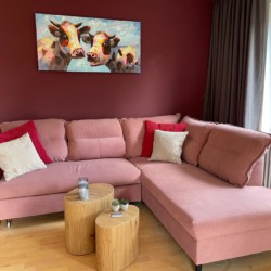 Gemütliches Apartment in Tegernsee mit rosa Couch, Kunstwerk und modernem Dekor – ideal für eine entspannte Auszeit.