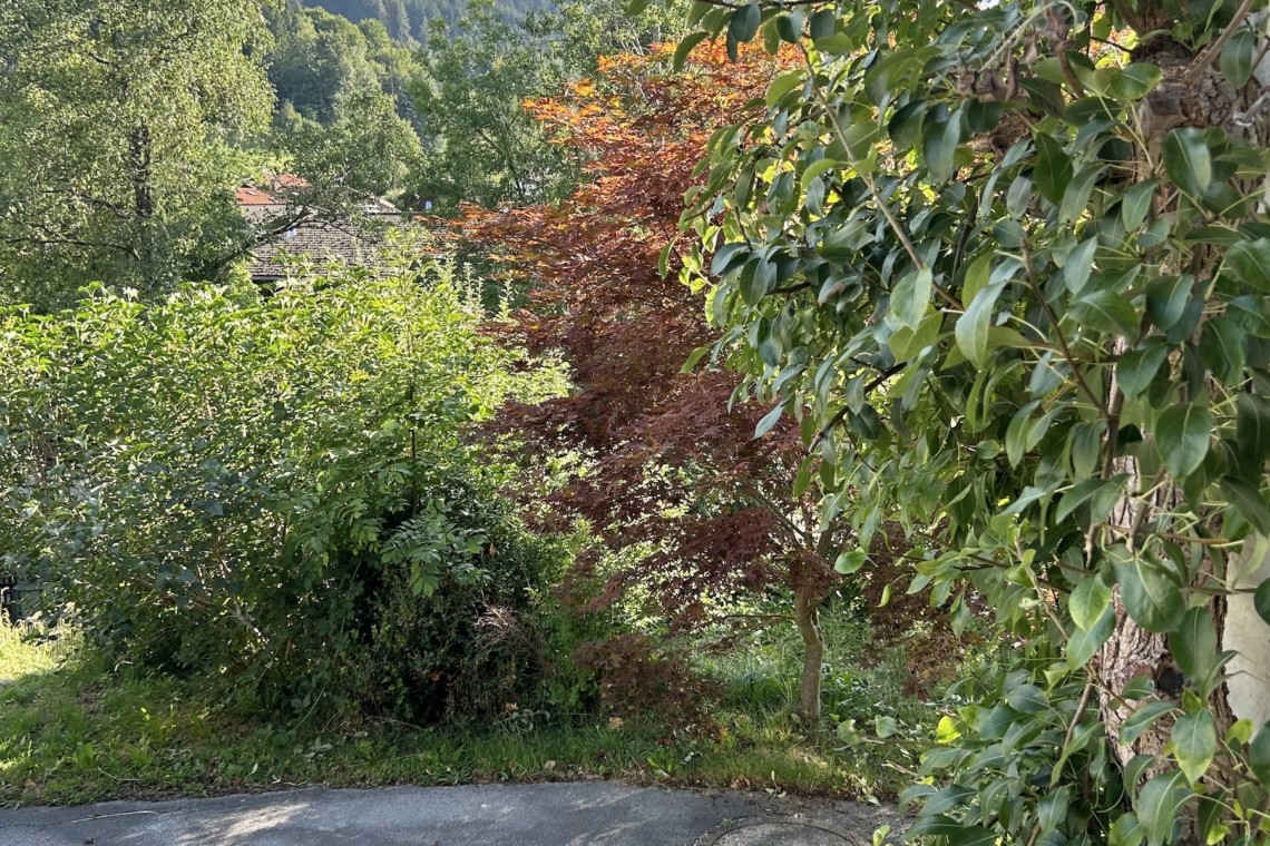 Idyllische Aussicht in Hausham: Grüne Landschaft & Berge, ideal für eine ruhige Ferienwohnung bei stayFritz.