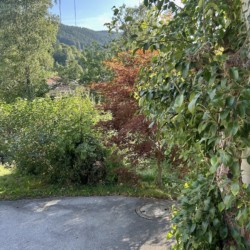 Idyllische Aussicht in Hausham: Grüne Landschaft & Berge, ideal für eine ruhige Ferienwohnung bei stayFritz.