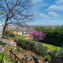 Idyllische Villa Titania in Opatija mit Gartenblick, perfekt für eine entspannende Auszeit. Buchen Sie Ihren Traumurlaub jetzt auf stayfritz.com!