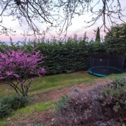 Gemütlicher Garten der Villa Titania in Opatija mit blühendem Baum und Trampolin – perfekt für Familienurlaub.