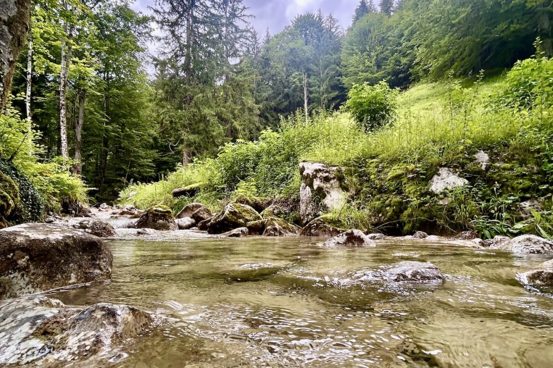 Idyllischer Bachlauf inmitten grüner Natur – perfekt für Ruhe suchende Urlauber. Ideal für eine Auszeit im Grünen!