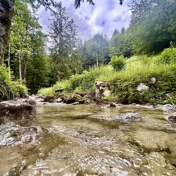 Idyllischer Bachlauf inmitten grüner Natur – perfekt für Ruhe suchende Urlauber. Ideal für eine Auszeit im Grünen!