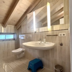 Gemütliches Ferienhaus-WC: modern, hell, mit Holzdecke und Spiegel. Ideal für Urlaubserlebnisse.